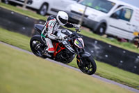 PJ-Motorsport-2019;anglesey-no-limits-trackday;anglesey-photographs;anglesey-trackday-photographs;enduro-digital-images;event-digital-images;eventdigitalimages;no-limits-trackdays;peter-wileman-photography;racing-digital-images;trac-mon;trackday-digital-images;trackday-photos;ty-croes